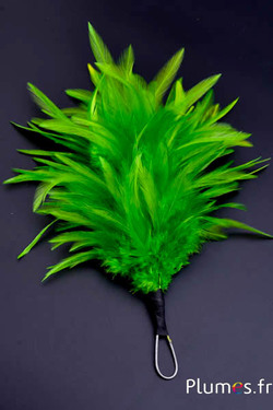 Plumet coq avec anneau -  hauteur 20 cm - lime